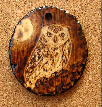 little owl tanja sova pyrogaphy